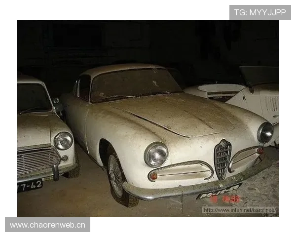 富里睡醒发现豪宅又多了一辆布加迪